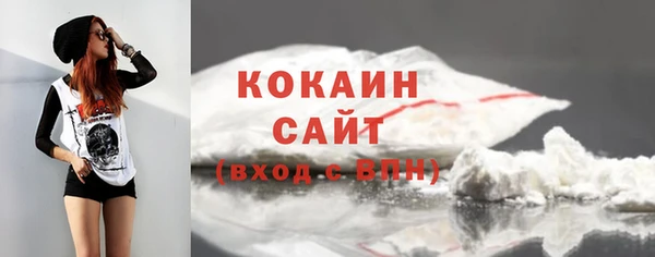 гидропоника Бородино