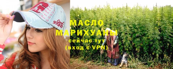 индика Богородск