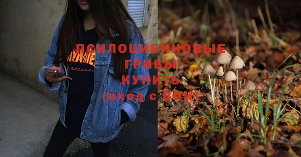 стаф Белоозёрский
