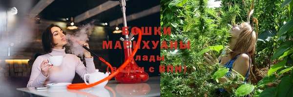 метадон Белокуриха