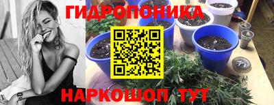 марихуана Малгобек