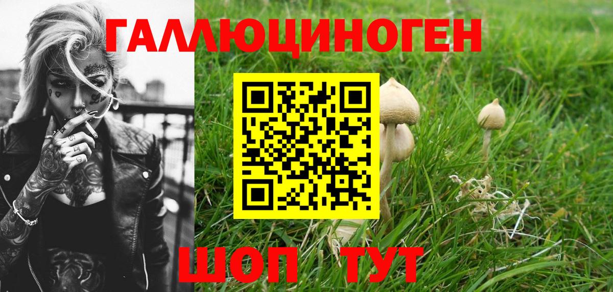 Галлюциногенные грибы мухоморы Гатчина