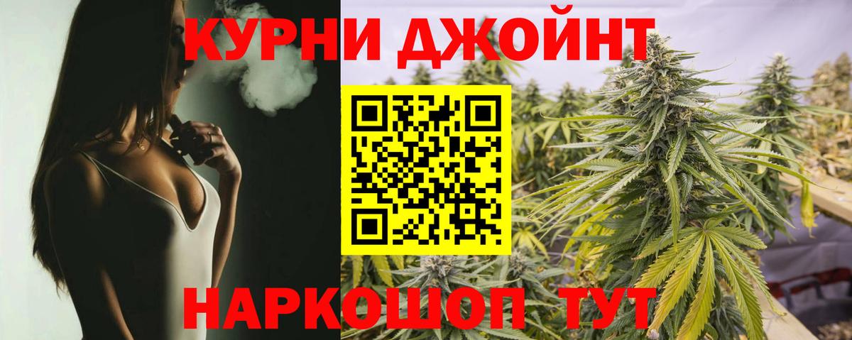 Конопля план Гатчина